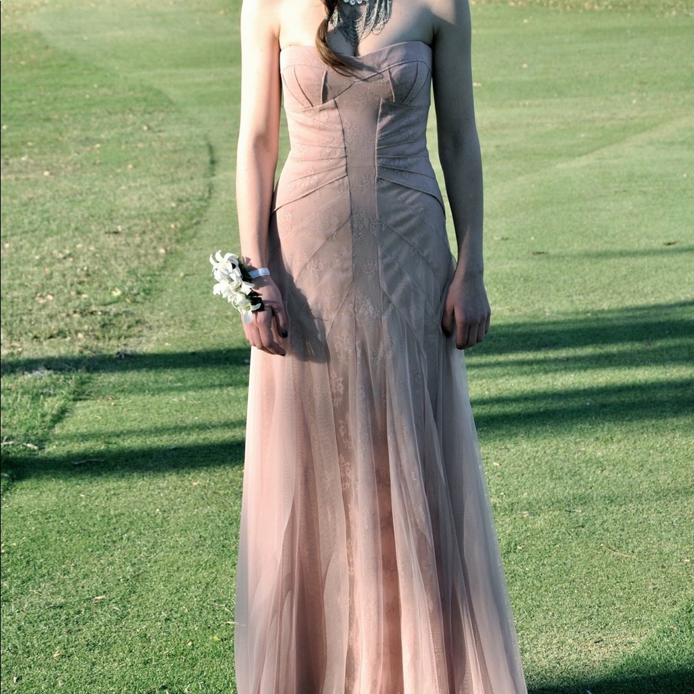 BCBG Collection tulle dress